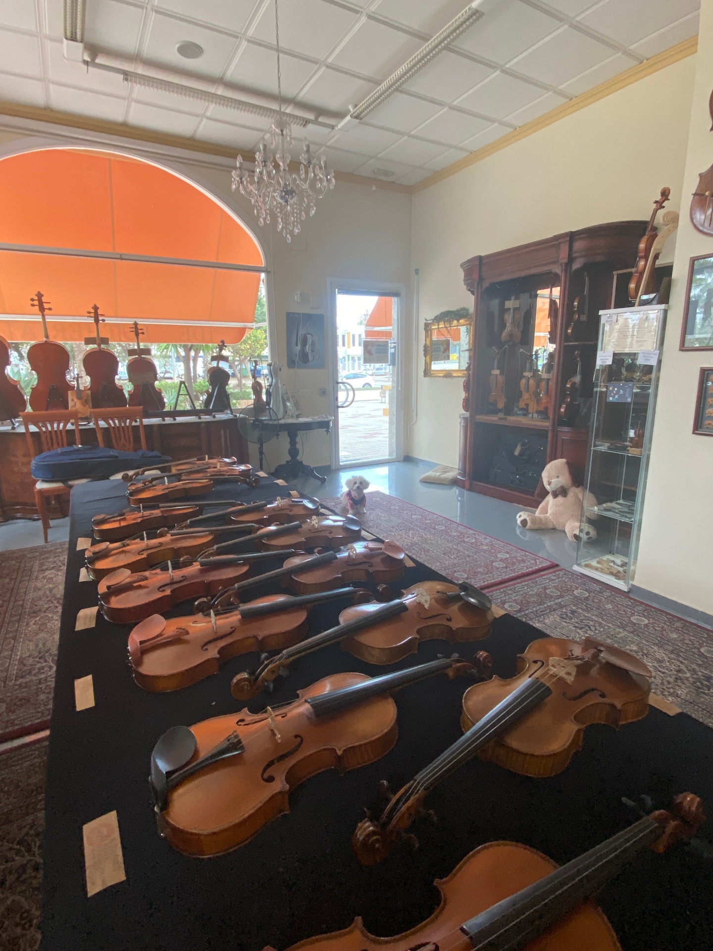 Wide view of the shop interior with instrument displays, rugs and cabinets