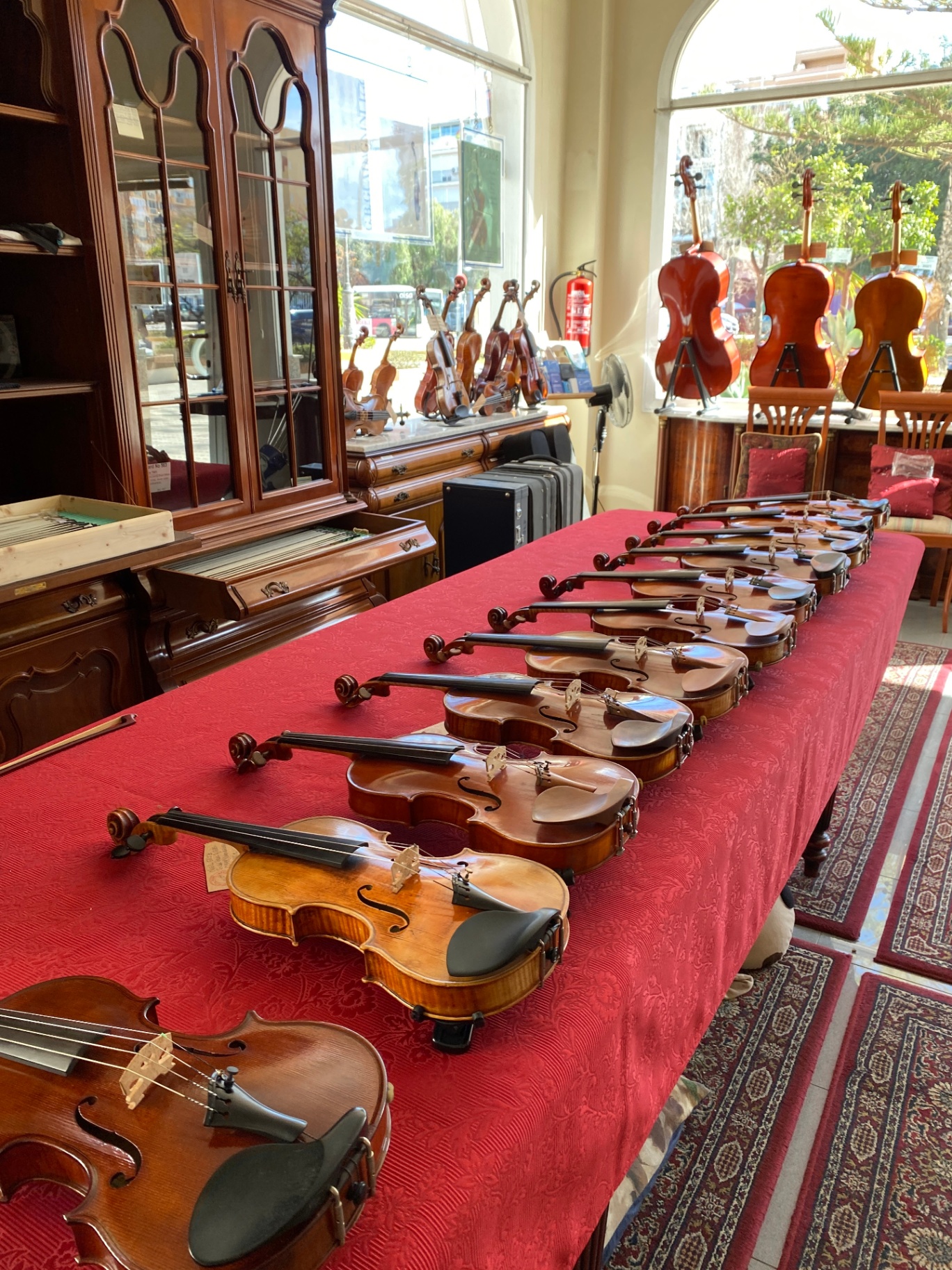 A presentation table inside the shop with several violins laid out for viewing